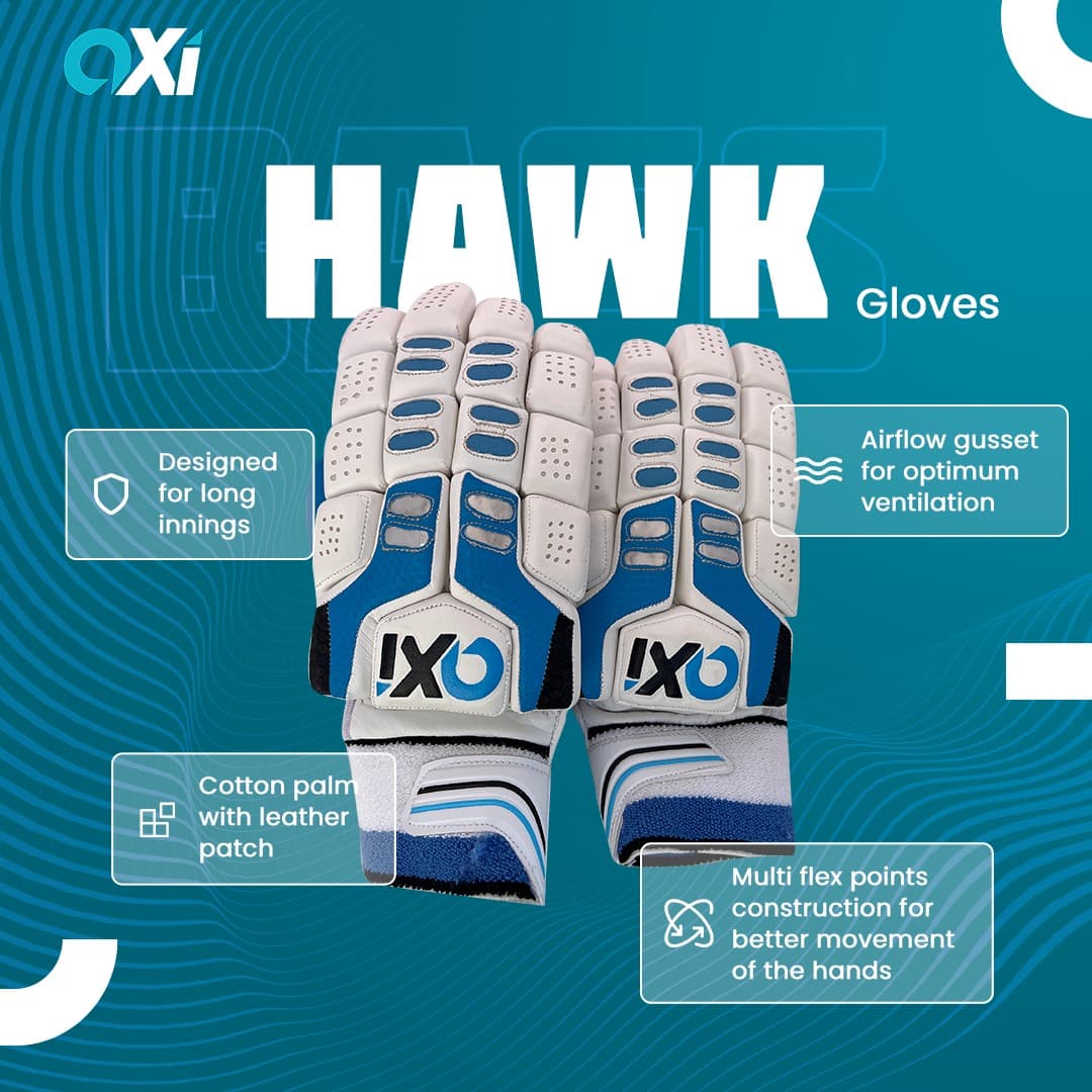 Hawk